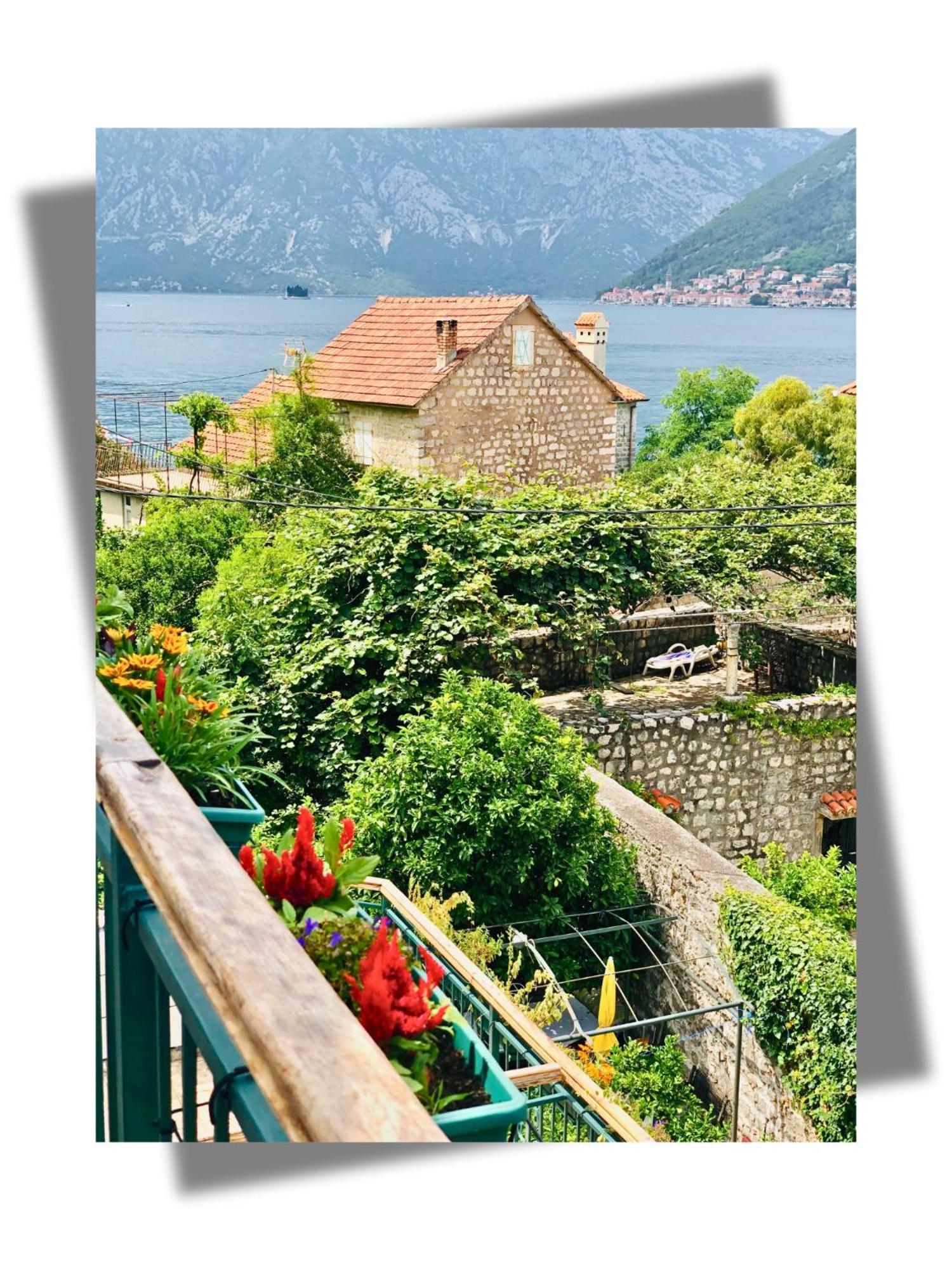 Apartments Djurovic Kotor Exterior photo