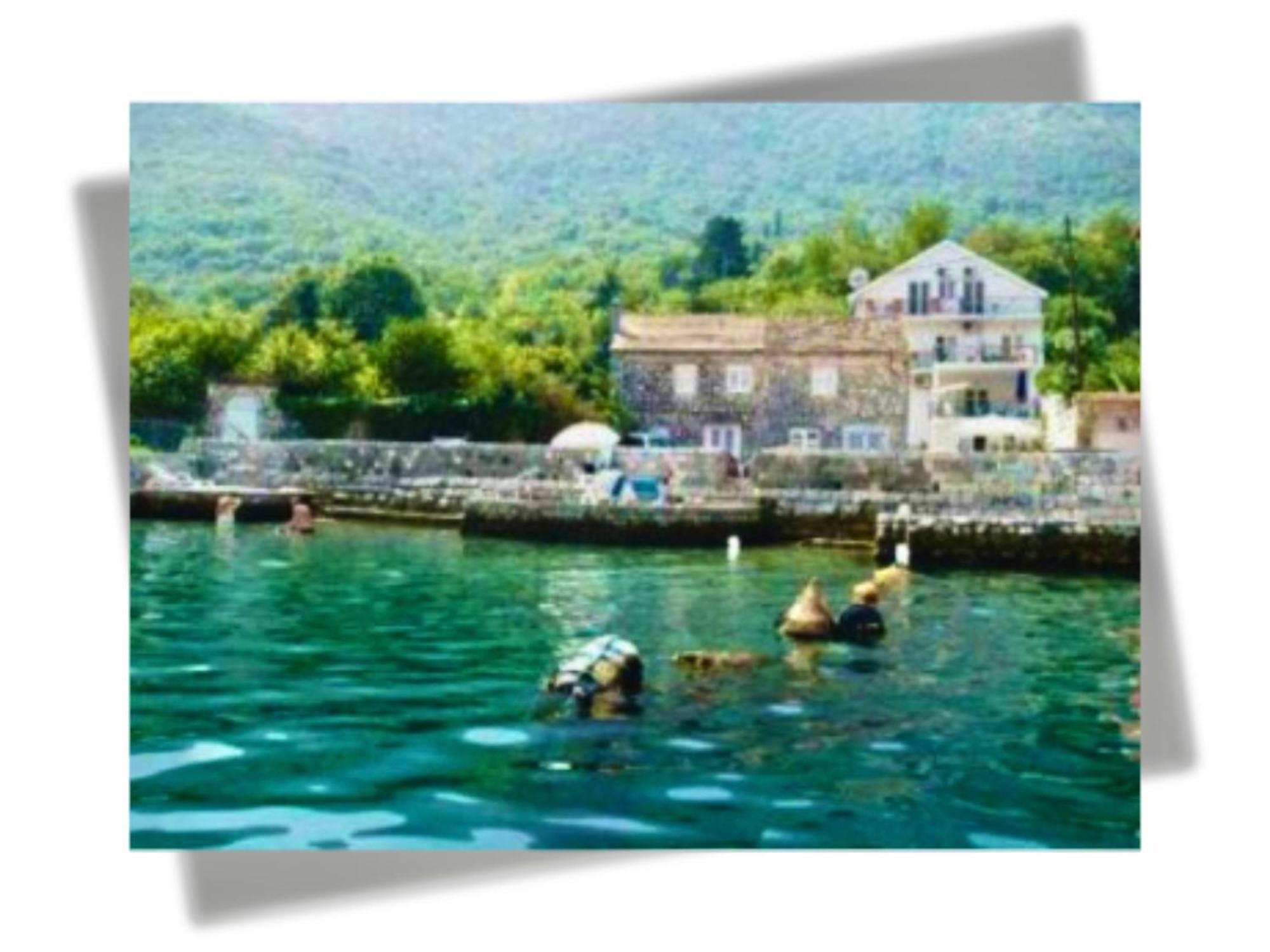 Apartments Djurovic Kotor Exterior photo